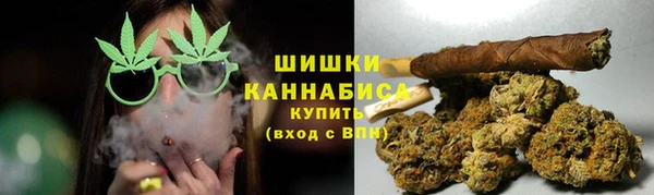 ПСИЛОЦИБИНОВЫЕ ГРИБЫ Бородино